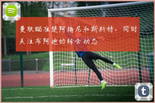 曼联瞄准楚阿梅尼和斯科特，同时关注布阿迪的转会动态